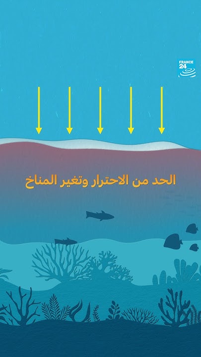     ǿ   24
 - نشر قبل 13 دقيقة
