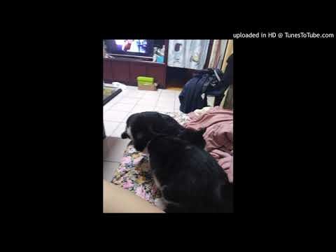 這一首歌 平凡的艾岩