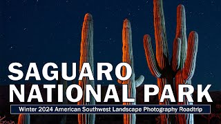SAGUARO NATIONAL PARK Cactus Light Painting Technique - Nighttime Landscape Photography