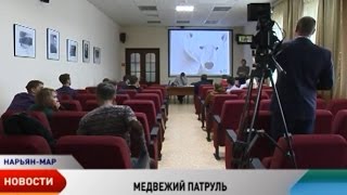 Семинар по предотвращению конфликтов с белым медведем прошел в Нарьян-Маре Семинар по предотвращению конфликтов с белым медведем прошел в Нарьян-Маре