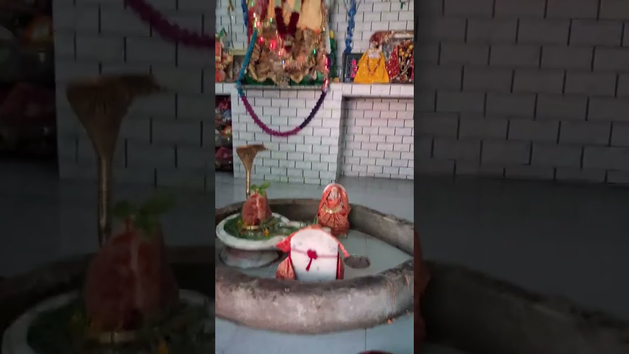 Bin piye nsha ho jata hai jb surat dekhu bhole ki👌👌🚩🕉💯