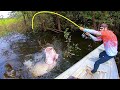 Fisherman lands 200 lb monster in a hidden lagoon