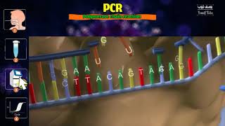فيديو روعة عن إختبار فيروس كورونا covid -19 بواسطة PCR بالتفصيل وبشرح مبسط