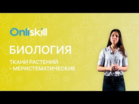 БИОЛОГИЯ 6 класс: Ткани растений - Меристематические