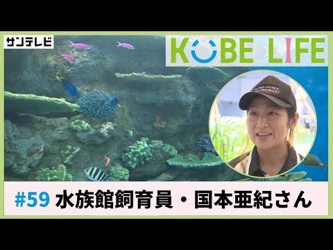 水族館飼育員・国本亜紀さん（ナレーター：森山未来）⚓KOBE LIFE #59 🚢