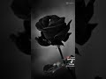 كاسك تا فارقتني لا اجيت اودعتني 
