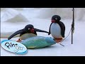 Pingu goes fishing with his family  pingu  1 hour  cartoons for kids