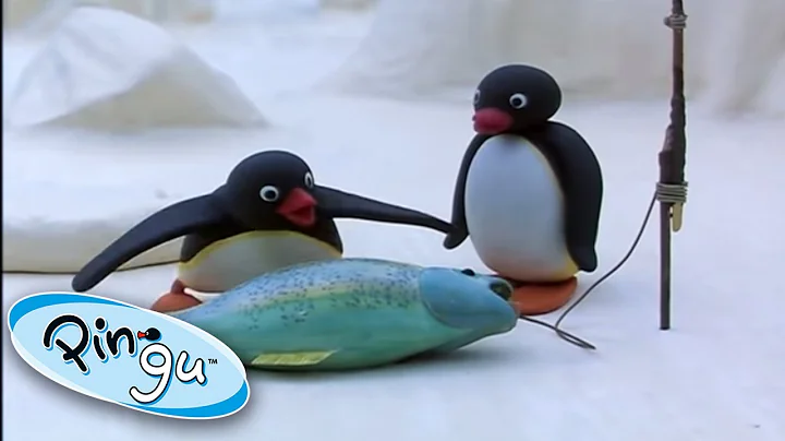 Pingu Goes Fishing With His Family!  @Pingu - Offi...