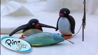 Pingu Goes Fishing With His Family! 🐟 @Pingu - Official Channel  1 Hour | Cartoons for Kids