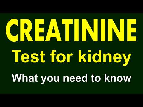 Video: Creatinine-urinetest: De Test En Resultaten Begrijpen