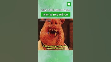 Thầy trò Đường Tăng thực sự trông như thế này #metrithuc