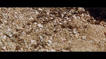 Torque (2004) - "Welcome Home Ford" Bike Chase