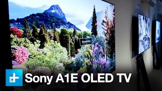Sony's A1E OLED is a technical marvel, but in one NYC gallery, it's art too