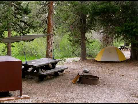 Video: Camping i Reds Meadow Valley