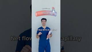 Capillary Fluid Exchangr In 60S