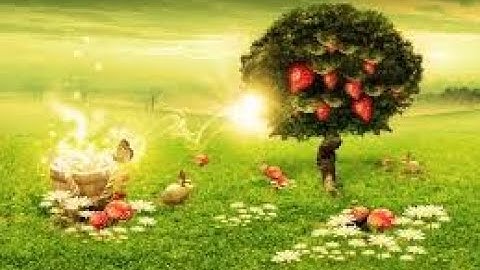 سورة النحل (الحزب 28) القارئ بدر التركي