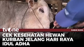 Jelang Idul Adha, Dinas Peternakan dan Perikanan Kota Pekanbaru Periksa Hewan Kurban | tvOne