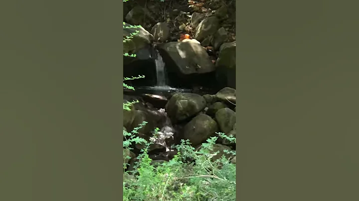 My secret little place high up in the hills where ...
