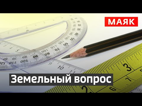 Земельный вопрос: лесная амнистия