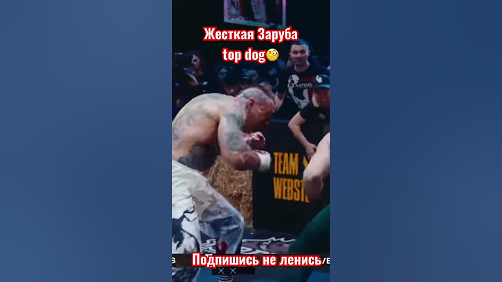 Кратос vs Алый зверь #topdog # #shorts #мма #mma #нашедело #hard #бой #бой_мастера #shorts