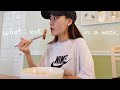 usa vlog 🇺🇸 what i eat in a week in a korean household pt. 1 (realistic & homemade)