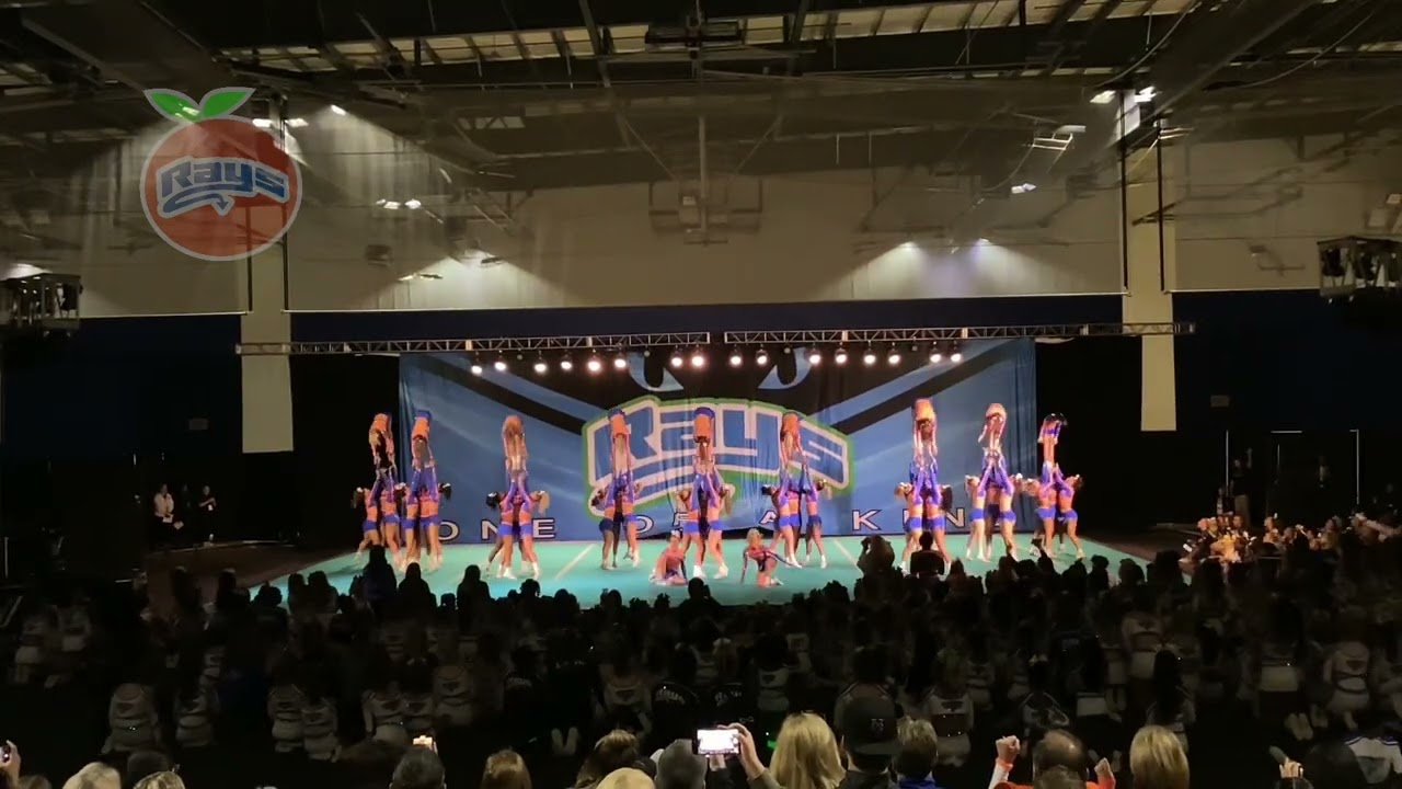The Stingray Allstars Orange - Stingray Fever Showcase 2024-2025