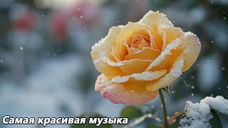 Самая красивая мелодия в мире🌿Мелодия настолько красивая, что я плакала, слушая её🌿Сергей Грищук