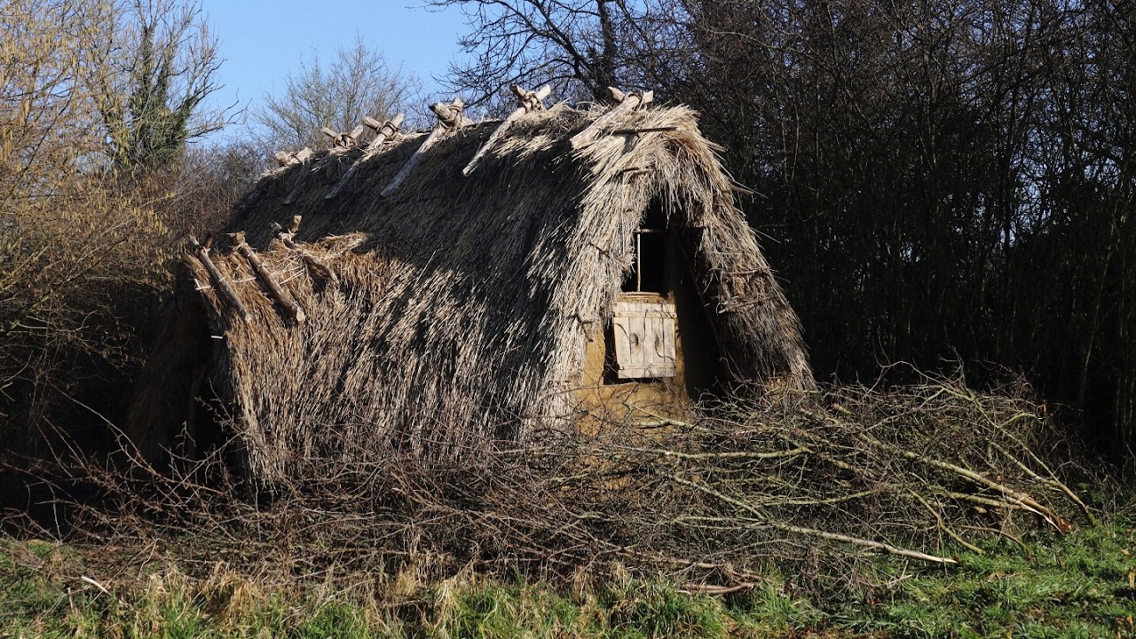 Defending My House with a Living Blackthorn Hedge | Anglo-Saxon Hedgelaying and Coppicing