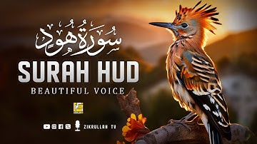 Surah Hud (سورة هود) Relaxing Heart Touching Marvelous Quran | Zikrullah TV
