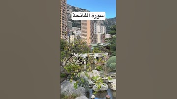 سورة الفاتحة الشيخ محمد عبدالعزيز حصان #قران #video #المصحف #اكسبلور #quran #viralvideo #france #can