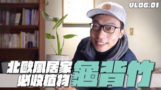 買一顆北歐風居家必收植物：龜背竹｜台北花卉村遊記 