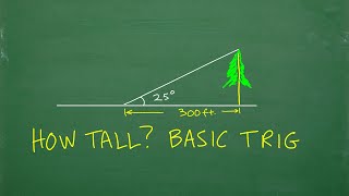 How tall is the Tree?  Trigonometry in ACTION!