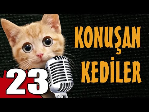 Konuşan Kediler 23 - En Komik Kedi Videoları