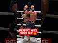 Alif Landed The Beautiful Knee Mma Ufc Boxing Onechampionship Muaythai Kifk Kickboxing Alif Alif Landed The Beautiful Knee Mma Ufc Boxing Onechampionship Muaythai Kifk Kickboxing Alif