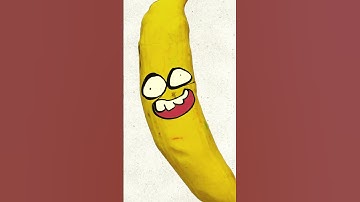 Stop motion Animation