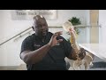 Understanding the Anatomy of the Spine with Dr Adewale Adeniran | Texas Back Institute