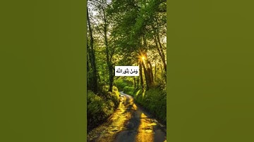 وَمَنْ يَتَّقِ اللَّهَ يَجْعَلْ لَهُ مِنْ أَمْرِهِ يُسْرًا❤️#راحة_نفسية #مع_القرآن #سورة_الطلاق