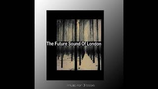 The Future Sound Of London - Skylines
