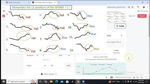 DERIV Rise And Fall ( the 12 positions of the worm