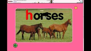 The Letter H