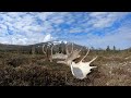 Shed hunt ALASKA