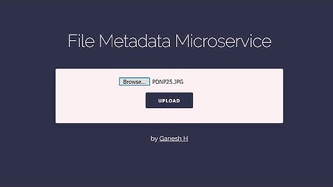 File Metadata Microservice - freeCodeCamp APIs and Microservices Project Tutorial