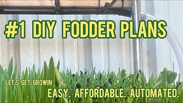 Affordable DIY Fodder System! Simple, Automated, Easy to Build! Grows 60+ lbs per day!