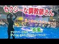 【調教師さんがセクシー】アクアパーク品川 ドルフィンパフォーマンス 「疾風」 Dolphin show