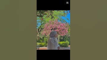 سورة الانعام ياسر الدوسري #بطل_الصف_الضعيف