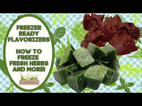 FREEZER READY FLAVORIZERS!!  HOW TO FREEZE FRESH HERBS AND MORE!!