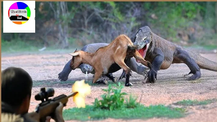 How Do Hunters and Farmers Deal with Millions of Komodo Dragons, Wild Boars and Beavers by Guns?