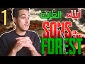 Sons Of The Forest نزلت جزيرة غريبة أبحث عن شخص وواجهت أبناء الغابة Sons Of The Forest نزلت جزيرة غريبة أبحث عن شخص وواجهت أبناء الغابة