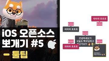 취준생을 위한 아이폰 앱개발 툴팁 fundamental ios uikit Tutorial (2020) - ios tooltip