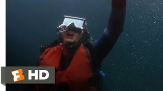 Jaws 2 (5/9) Movie CLIP - Underwater Scare (1978) HD